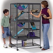 Best Big & Extra Large Ferret Cages For Sale In 2022 Reviews