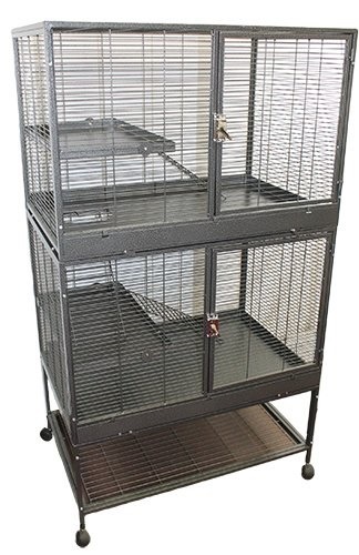 Exotic Nutrition Mansion Cage review