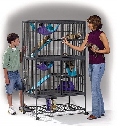 biggest ferret cage