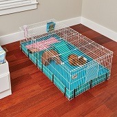 Best Big & Extra Large Guinea Pig Cages On Sale In 2022 Reviews