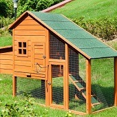 Best 5 Rabbit & Bunny Hutch,Coop & Enclosures For Sale In 2022