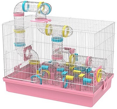 cleaning gerbil cage