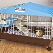 Indoor Guinea Pig Cages 5 Reviews of Most Popular in 2019