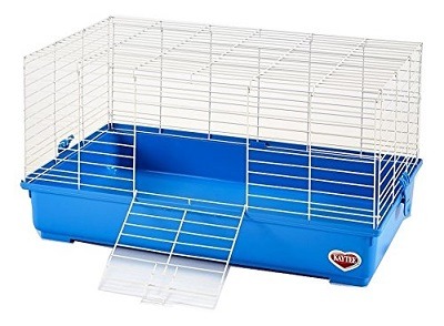 Kaytee Complete Guinea Pig Kit