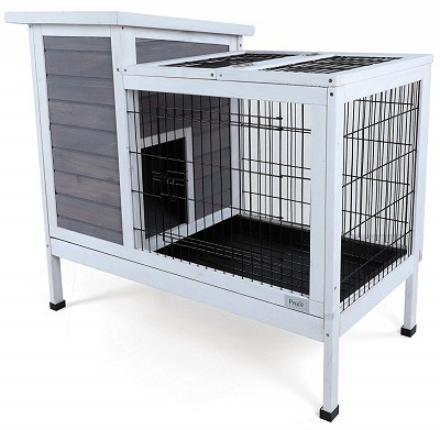 Pets fit Rabbit Hutch