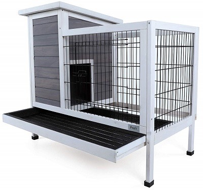 Pets fit Rabbit Hutch review