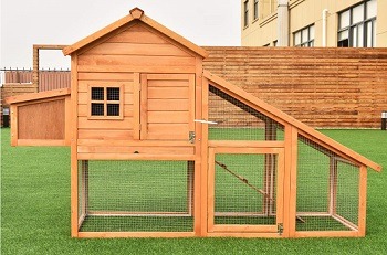 Petsjoy Backyard Rabbit Hutch