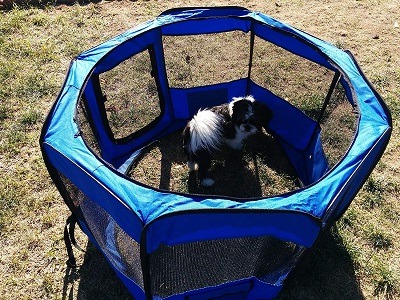 ToysOpoly #1 Premium Pet Playpen review