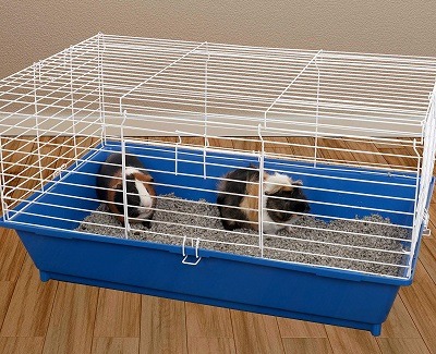 Ware Manufacturing Indoor Guinea Pig Cage