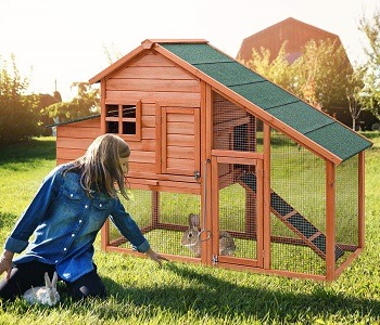 Wooden Tangkula Rabbit Hutch