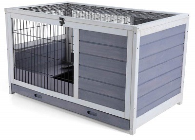 big guinea pig cages