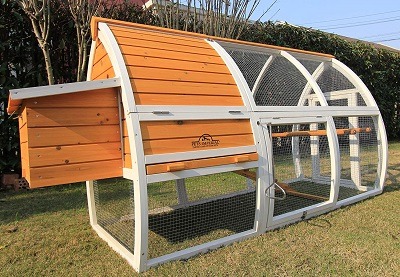 big rabbit hutch