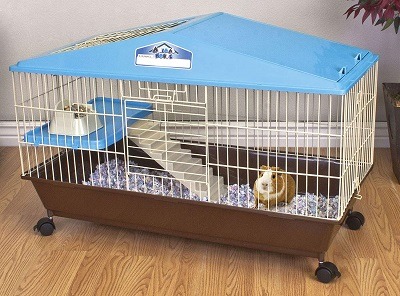 best cage for two guinea pigs