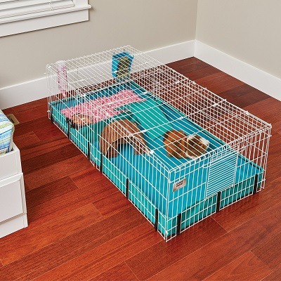 the range guinea pig cage