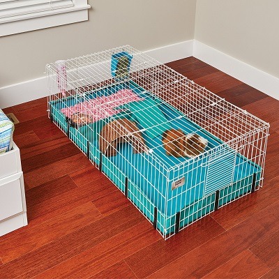 2 floor guinea pig cages