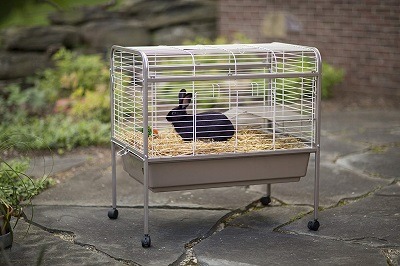 rabbit cage and stand