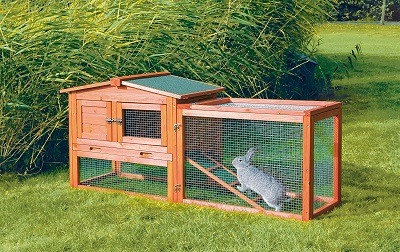 outdoor rabbit hutch