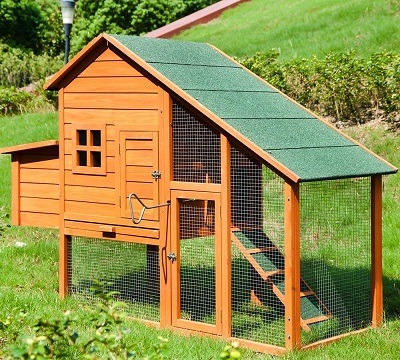 outdoor bunny cages