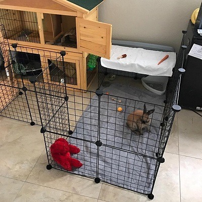 diy bunny playpen