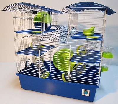 biggest hamster cage ever