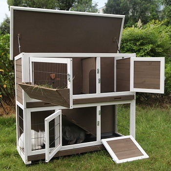 Aivituvin Rabbit Hutch