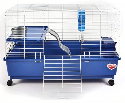 Kaytee My First Home Habitat for Pet Rat review