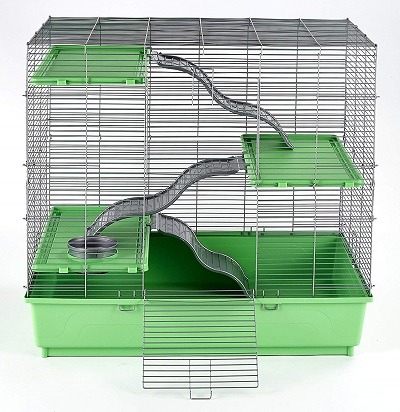 inexpensive rat cages