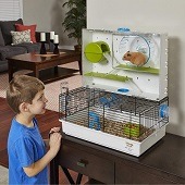 Best 5 Cheap Hamster Cages For Sale In 2022 Reviews (Big & Small)