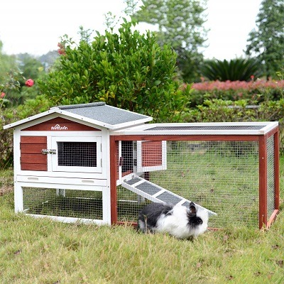 best rabbit enclosures