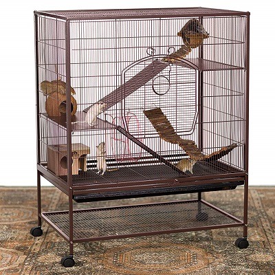 rat cage