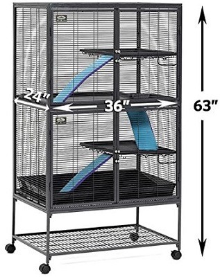 Critter Nation Sugar Glider Cage review