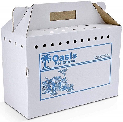 Oasis Model