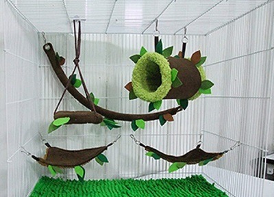 sugar glider habitat cage