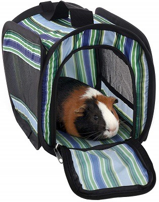 travel case guinea pig