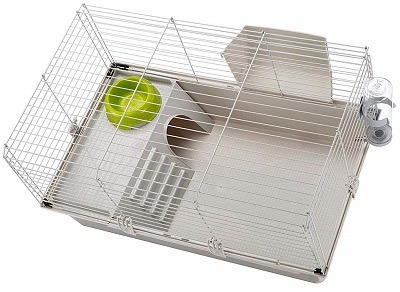 cage degu